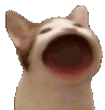 hyperpopper
