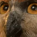 OwlBearEyes