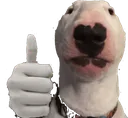 walterthumbsup