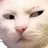cattosus