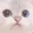 cattoguilty