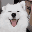 DW_dog_wiggly_ears Discord emoji