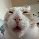 nnnghh
