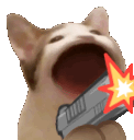 pop_cat_gun