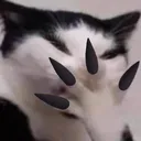 C487529CB6294BABB80A104FA76A0E8E