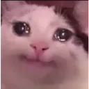73