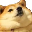 107