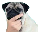 127