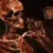 skeletonsmoke skeletonsmoke