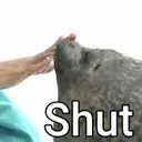 sealshut