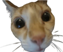 huh Discord emoji