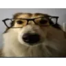 meatball