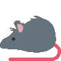 ratspin ratspin