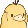 NotLikeDuck