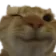Cat_Wink