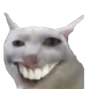 Catgrin catGrin Discord Emoji