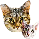 Emojis_cats Discord Emoji