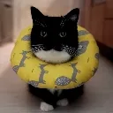 uni_3