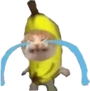 bananacatcry