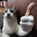 OKI