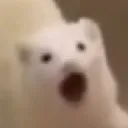 ope