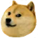 theDoge