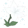 1_moonflower