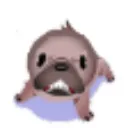 terror terror