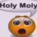 HOLYMOLY