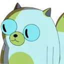 Cake_Staring Cake_Staring