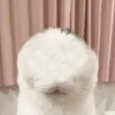 FacelessHorror FacelessHorror