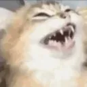 Laugh
