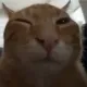 buh