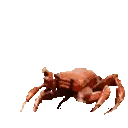 crabrave