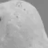 surprised_owl surprised_owl