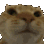Cat No catno Discord Emoji