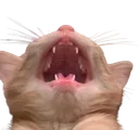 KEKW