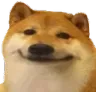 smileydog smileydog