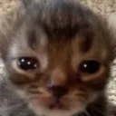 2very_sad Discord Emoji