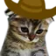 catCowboySad Discord Emoji