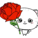 roselelo roselelo