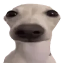 bruh