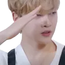 mattsalute