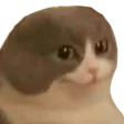 melvin melvin