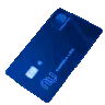 blue_card