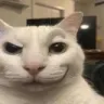 hey hey