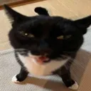 emoji_41 emoji_41
