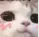 Catuwu catuwu Discord Emoji