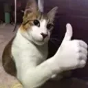 ya
