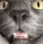 tee_sniff Discord emoji